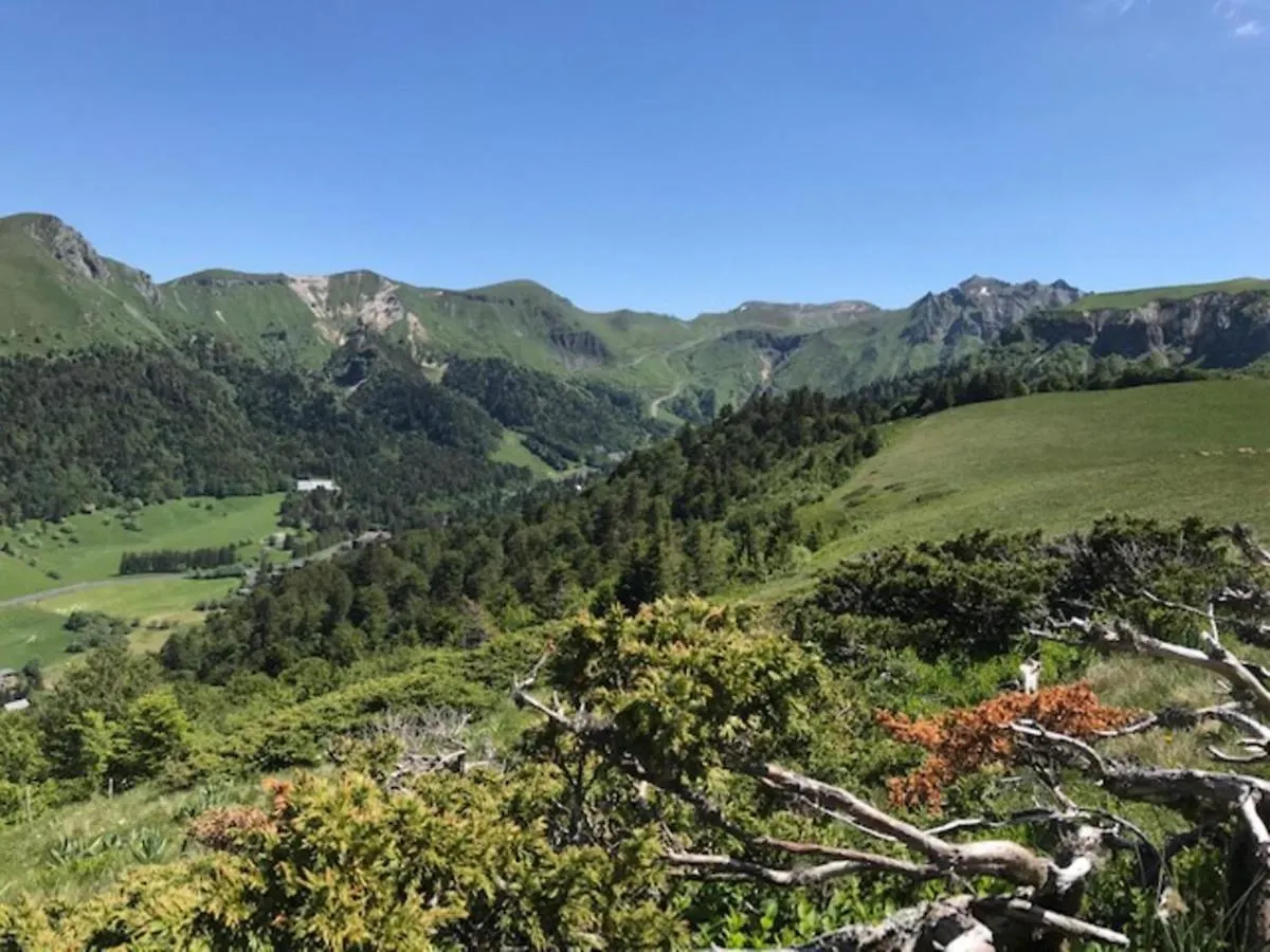 Apartment Studio Central Au Mont-Dore - Renove, Wifi, Proche Thermes Et Pistes - Fr-1-608-176 France